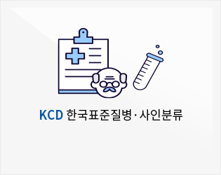 한국표준질병사인분류